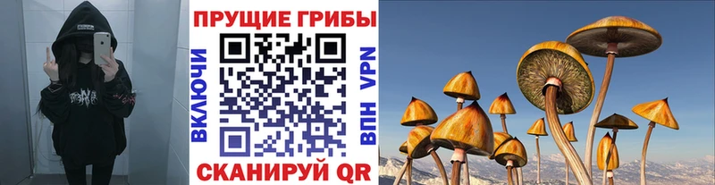 Купить закладки  Очёр  Псилоцибиновые грибы Psilocybine cubensis 