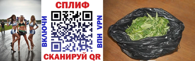 Марихуана THC 21%  Купить закладки  Очёр 